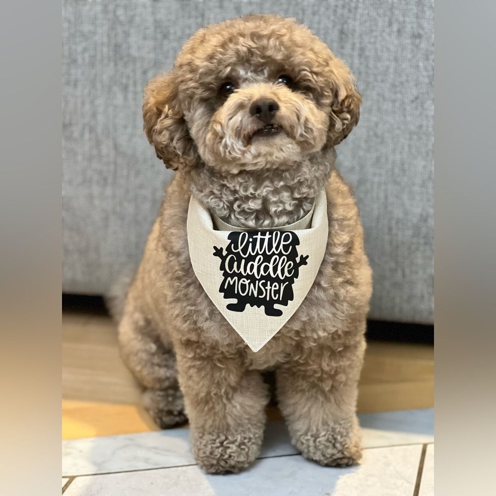 Little cuddle monster graphic bandana size medium